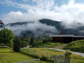 Lillas Ferien Wohnung Teufenbach